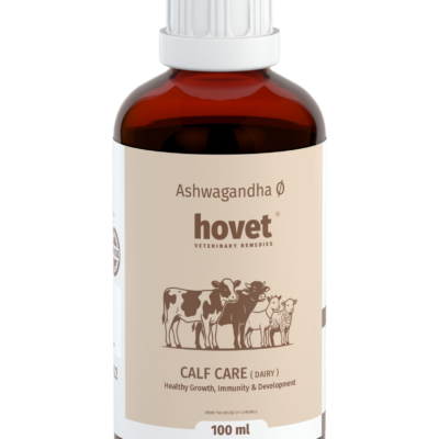 ASHWAGANDHA Ø ( CALF CARE)