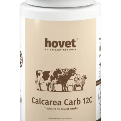 CALCAREA CARB 12C