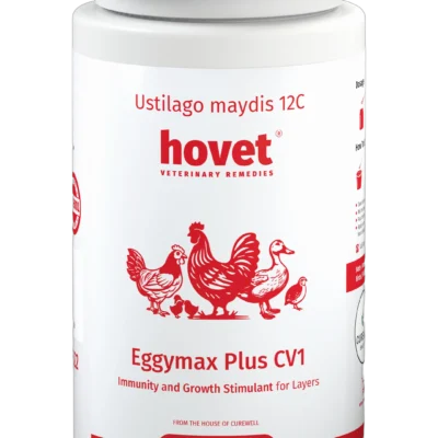 EGGYMAX (CUREVET I - FOR LAYERS)