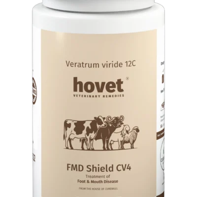 F & M (CV4)
