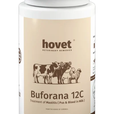 BUFORANA 12C