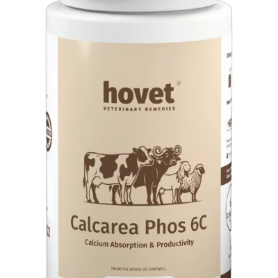 CALCAREA PHOS 6C