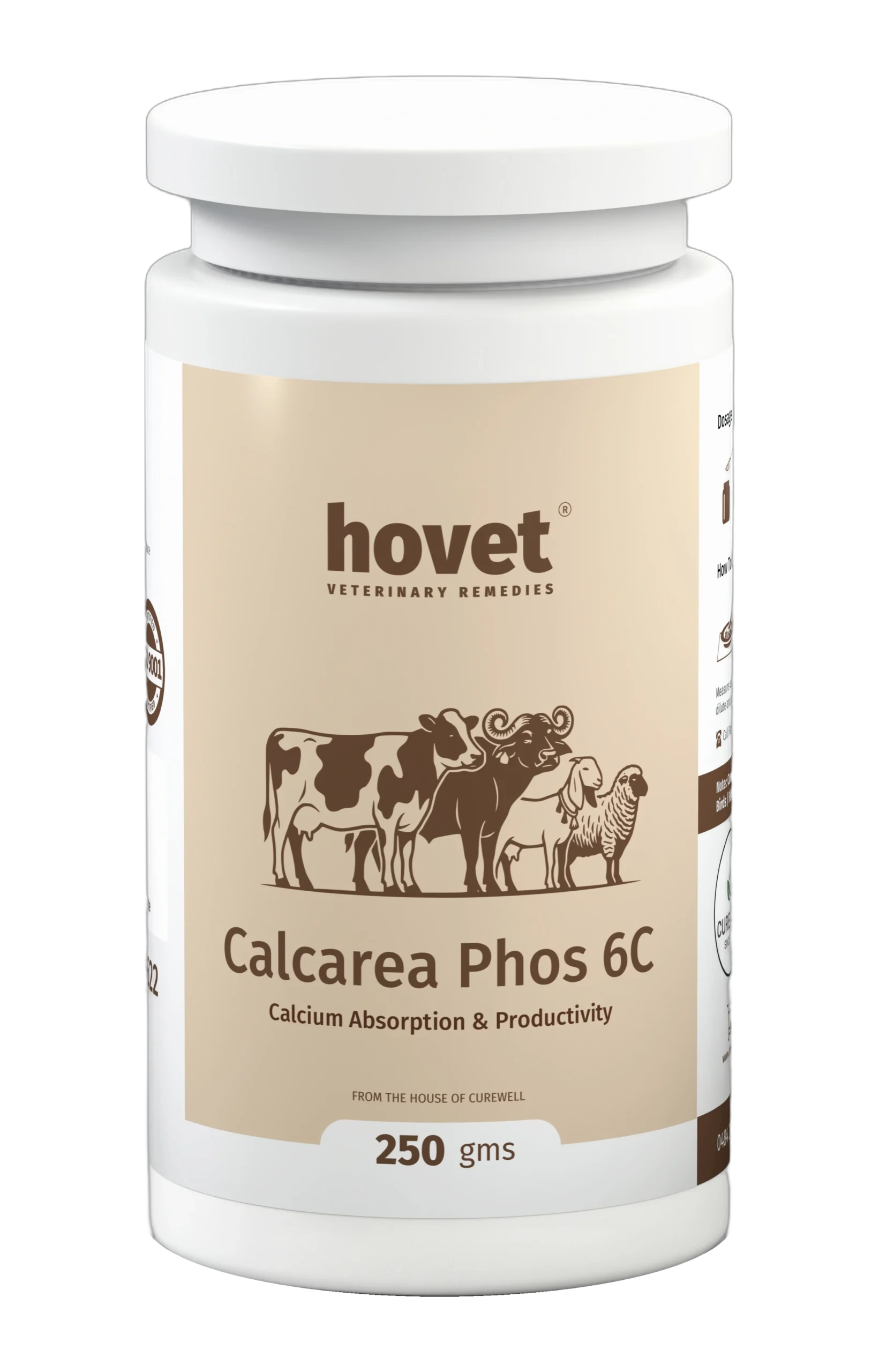 CALCAREA PHOS 6C