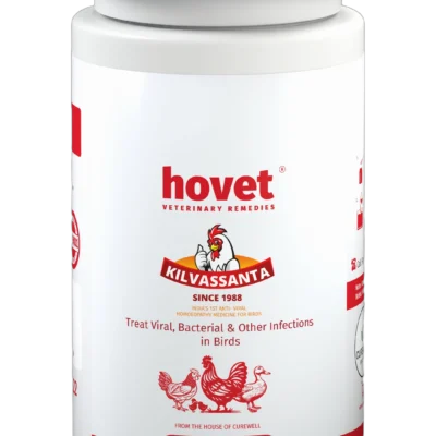 KILVASSANTA